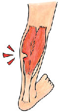 接骨院さわし Com